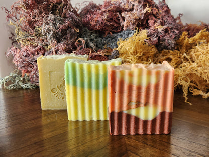 Sea Moss & Organic Extra Virgin Oil & Turmeric Bar Soap